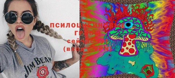 спиды Абаза