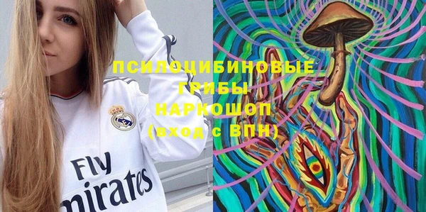 стаф Алексин