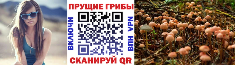 Галлюциногенные грибы Magic Shrooms Карасук
